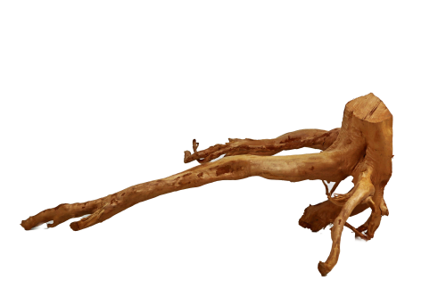 Wood Root Large 60-100cm