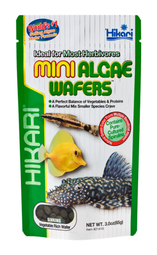 Hikari Mini Algae Wafers 3oz