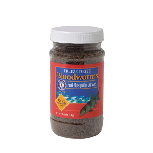 San Francisco Bay Freeze Dried Bloodworms 14g