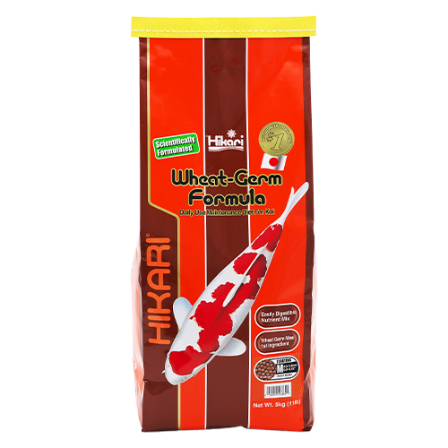 Hikari Koi Wheat Germ Medium 11lb