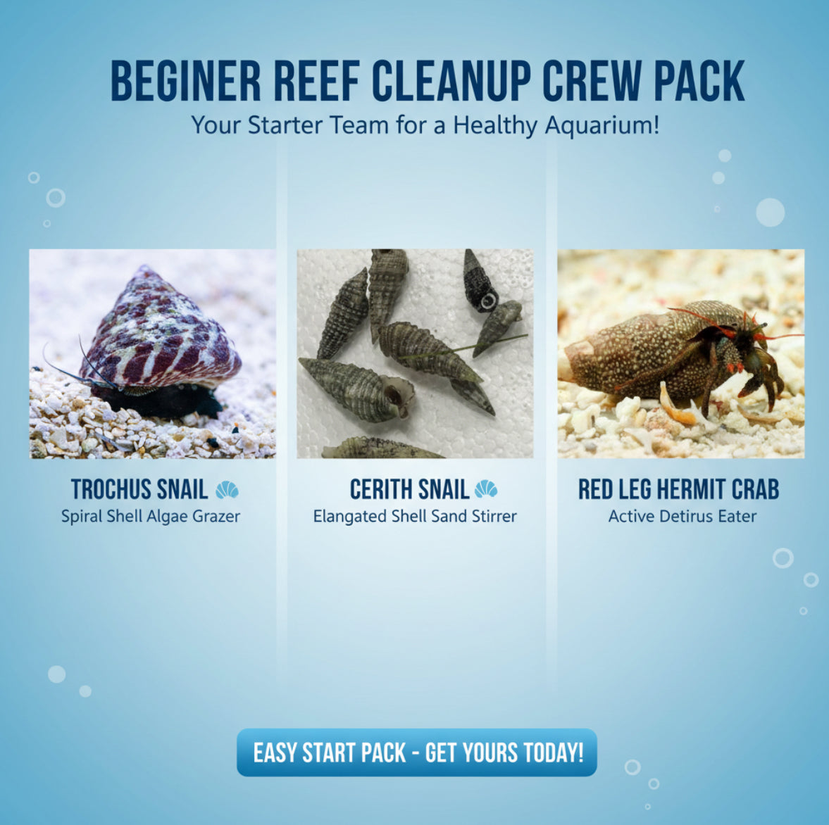 Starter Cleanup Crew Pack