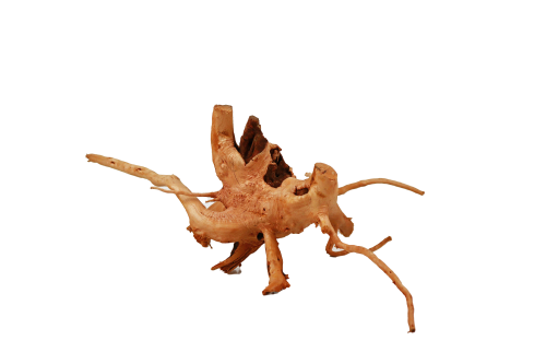 Wood Root Medium 40-60cm