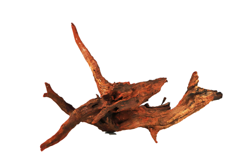 Driftwood Large 40-80cm