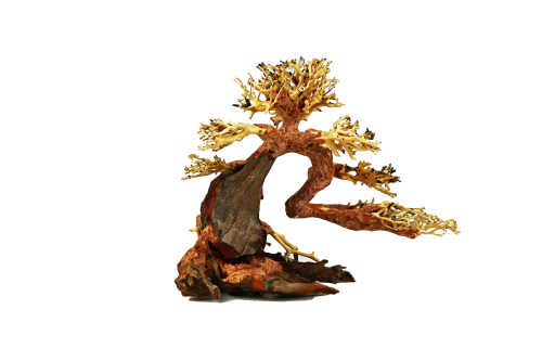 Bonsai Wood Md/Lg 35x25x18cm