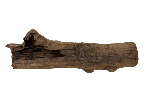 Hollow Wood