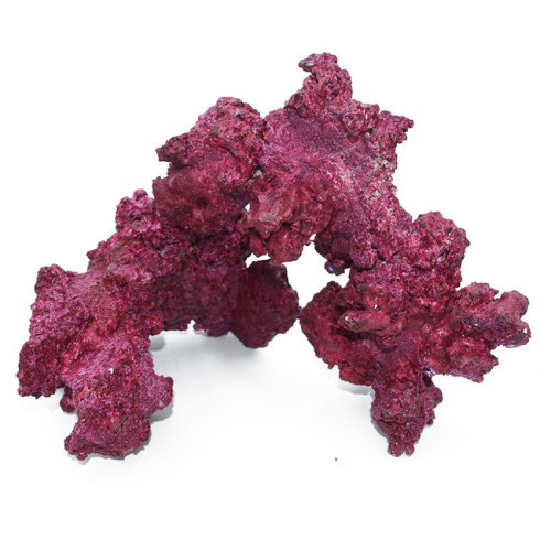 Real Reef Medium Size Arches 4PCS Box