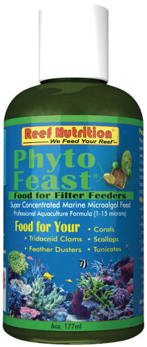 Reef Nutrition Phyto-Feast Concentrate Marine Micoalgae 6oz
