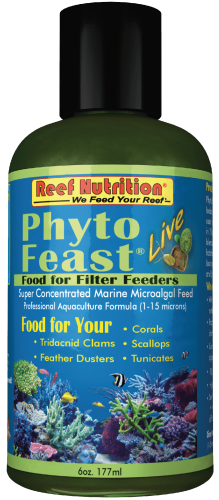 Reef Nutrition Phyto-Feast Live Marine Microalgae 6oz