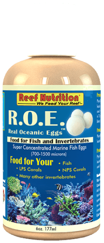 Reef Nutrition Real Oceanic Eggs Marine Fish Egg Concentrate 6oz