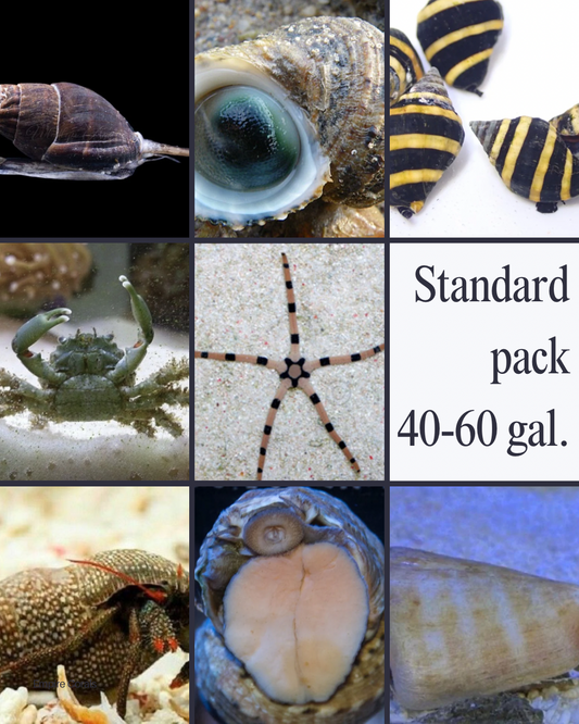 Standard Cleanup Crew Pack