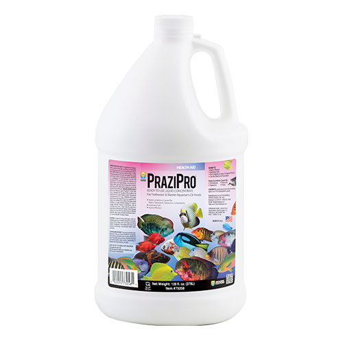 Hikari Prazipro Parasite Terament 1gal