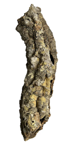 Cork Bark Roll 10-25cm Diameter