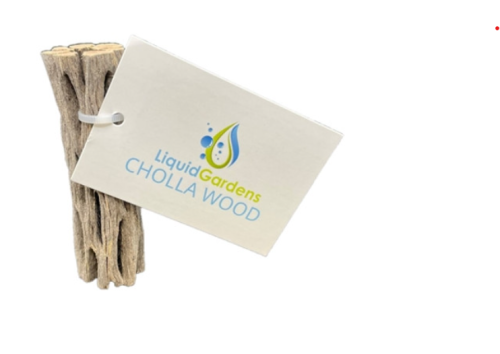 Liquid Gardens Cholla Wood 3"