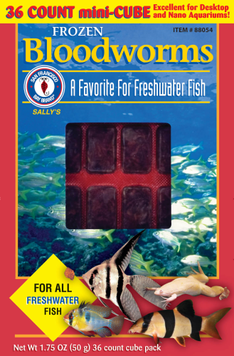 San Francisco Bay Frozen Bloodworm Cube 1.75oz