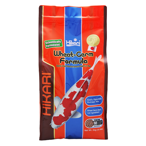 Hikari Koi Wheat Germ Medium 4.4lb