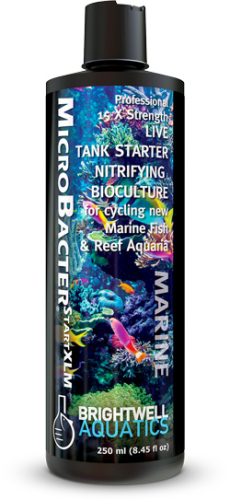 Brightwell Aquatics MicroBacterSTARTXLM 125ml (BACSTARTXLM125) - Nitrifying Bioculture