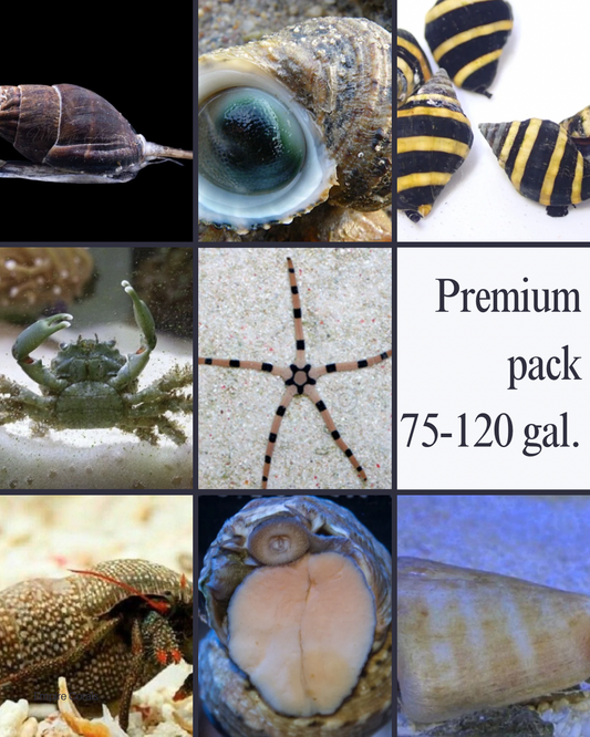 Premium Cleanup Crew Pack