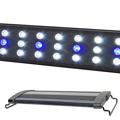 LED 500
