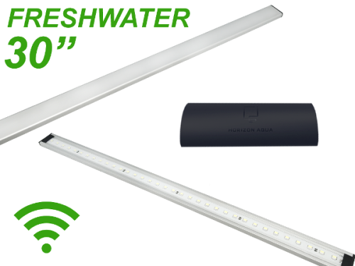 Zetlight Lancia 30" LED Plant w/WIFI
