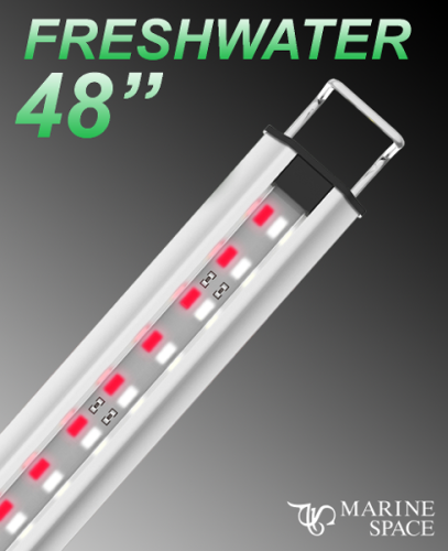 Zetlight MarineSpace 48" LED w/ Switch Freshwater