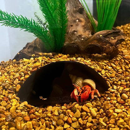 REEFSHAPE Aquarium or Terrarium Pocket Cave | Minimalist Shelter Cave for Fish, Shrimp, Reptiles, Amphibians, & More! | Made in USA