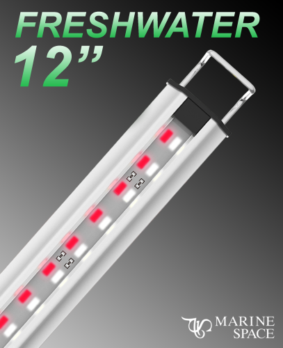 Zetlight MarineSpace 12" LED w/ Switch Freshwater