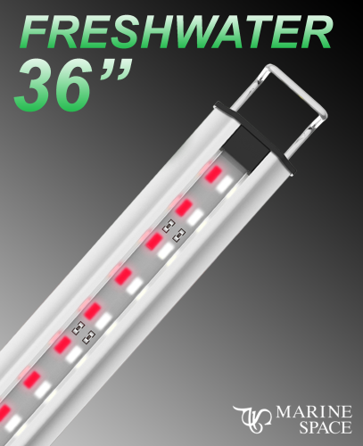 Zetlight MarineSpace 36" LED w/ Switch Freshwater