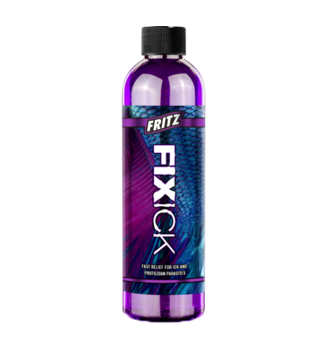 FZ Fixick 16oz