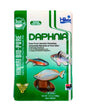 Hikari Frozen Cube Daphnia 3.5oz