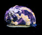 Turbo Zebra Snail