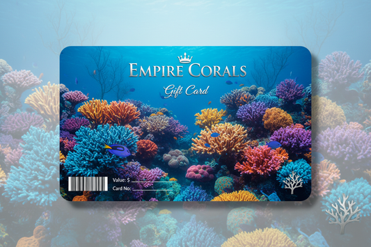 Empire Corals Gift Card