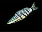 Harlequin Basslet