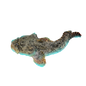 Bicolor Toadfish