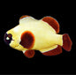 Gold Nugget (AC) Clown