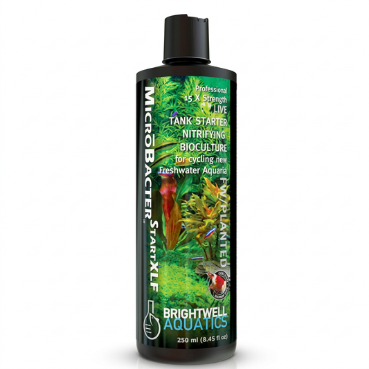 Brightwell Aquatics MicroBacter Start XLF 500ml Nitrifying Bioculture