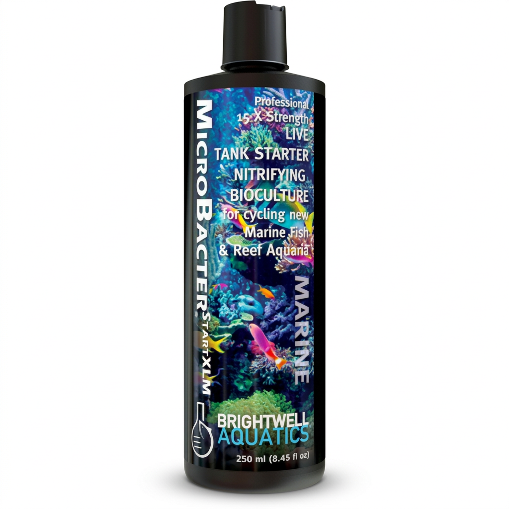 Brightwell Aquatics MicroBacterSTARTXLM 125ml - Nitrifying Bioculture