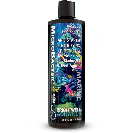Brightwell Aquatics MicroBacterSTARTXLM 250ml - Nitrifying Bioculture